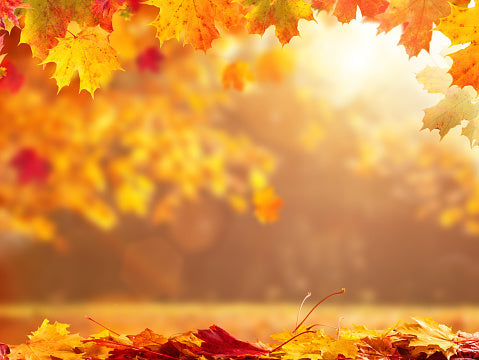 Autumn