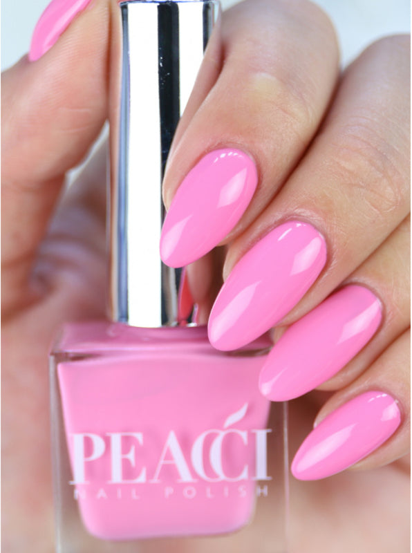 Peacci Rosa Nelke