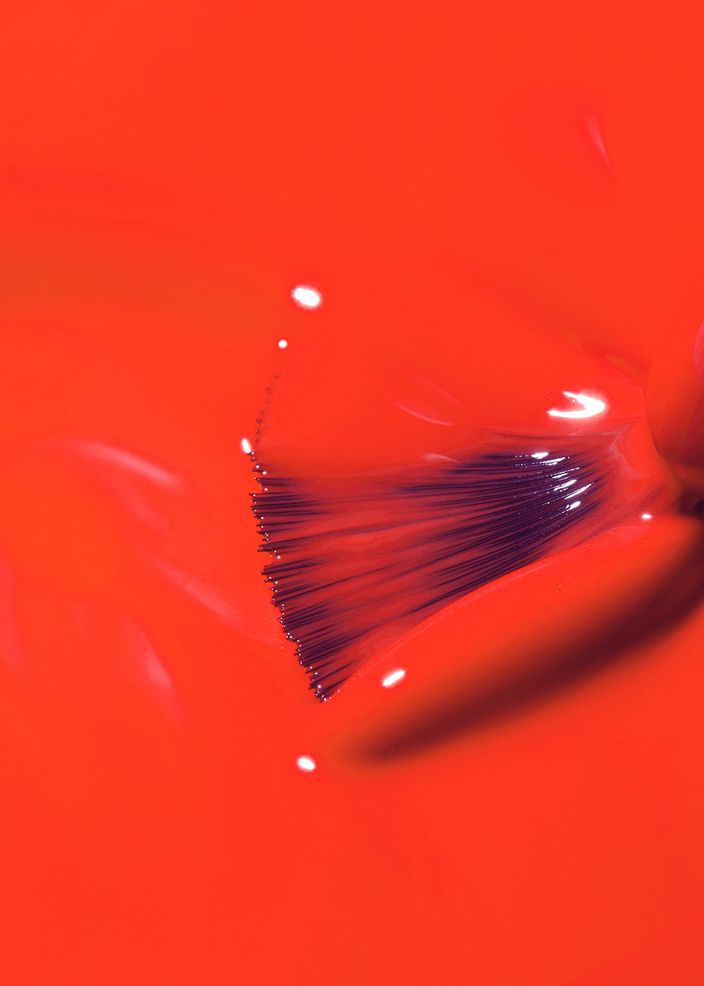 The Gelbottle Desire