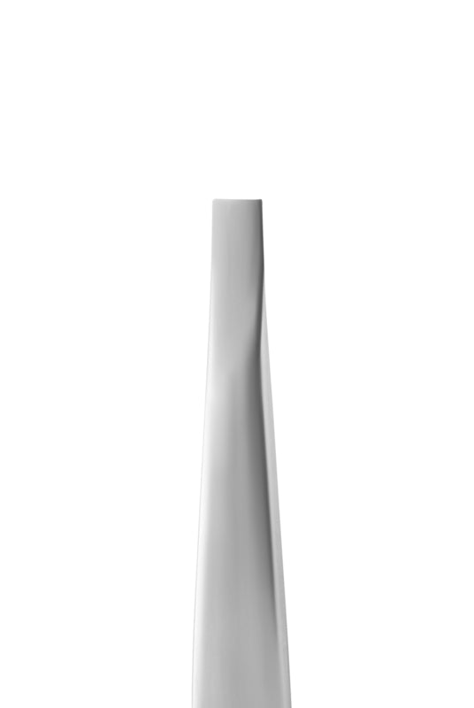 Staleks Pro Augenbrauenpinzette Expert 10 Typ 1 Breit Gerade (TE-10/1)