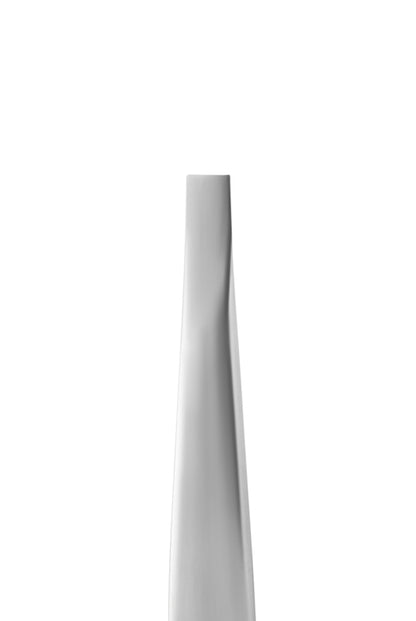 Staleks Pro Augenbrauenpinzette Expert 10 Typ 1 Breit Gerade (TE-10/1)